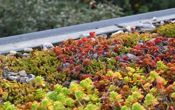 the cost of Hatch Beauchamp green roof installation