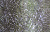 Hatch Beauchamp fibreglass roof work